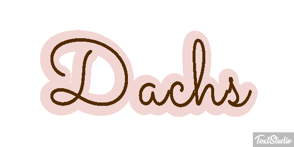 Dachs Texteffekt