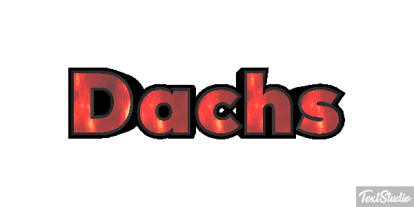 Dachs Texteffekt