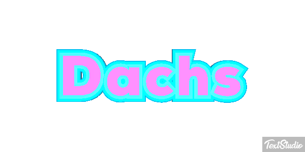 Dachs Texteffekt
