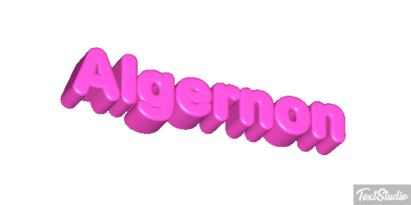 Algernon Effet de texte