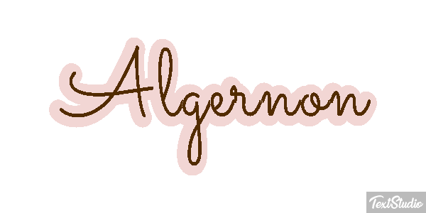 Algernon Effet de texte