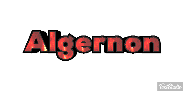 Algernon Effet de texte