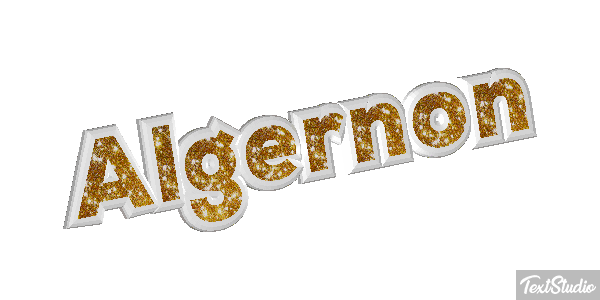 Algernon Effet de texte