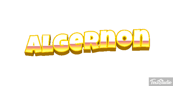 Algernon Effet de texte