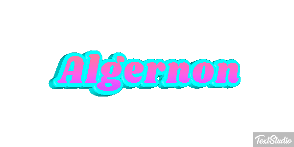 Algernon Effet de texte