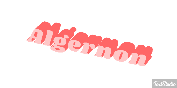 Algernon Effet de texte