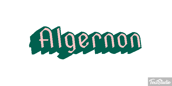 Algernon Effet de texte