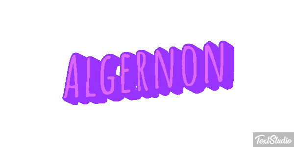 Algernon Effet de texte