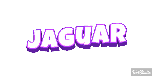 Jaguar Texteffekt