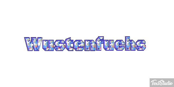 Wüstenfuchs テキスト効果