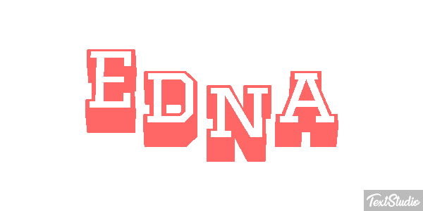 Edna Text effect