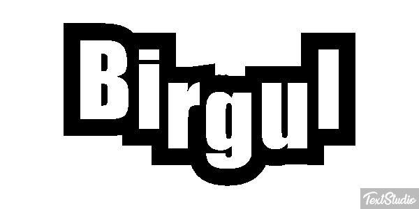 Birgül Efeito do texto