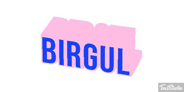 Birgül Efeito do texto