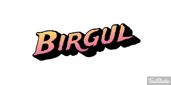 Birgül Efeito do texto