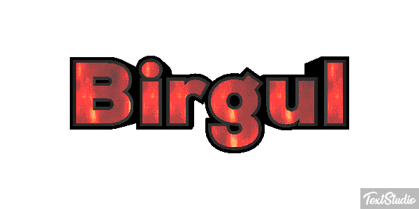 Birgül Efeito do texto