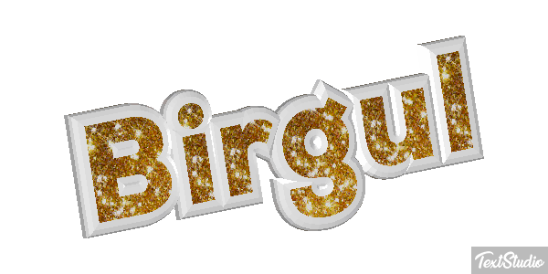 Birgül Efeito do texto