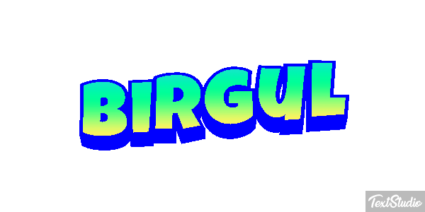 Birgül Efeito do texto