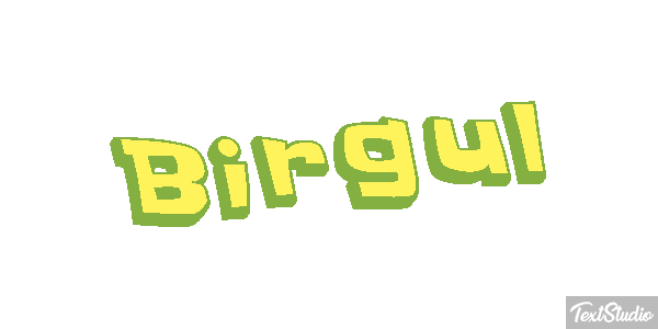 Birgül Efeito do texto