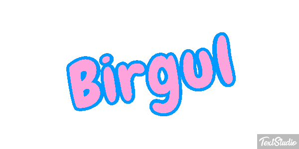 Birgül Efeito do texto