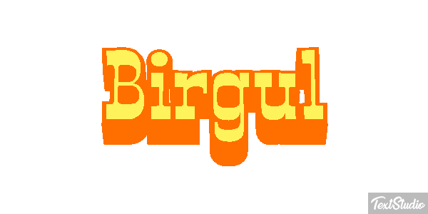 Birgül Efeito do texto