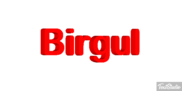 Birgül Efeito do texto