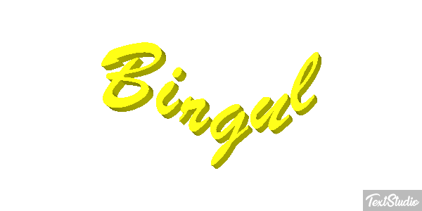 Birgül Efeito do texto