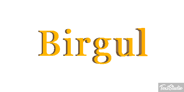 Birgül Efeito do texto