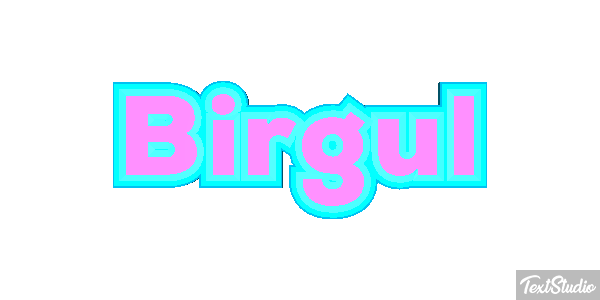 Birgül Efeito do texto