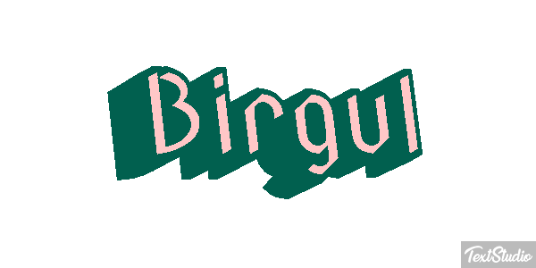 Birgül Efeito do texto