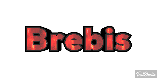Brebis Efekt tekstowy