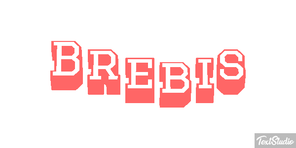 Brebis Efekt tekstowy