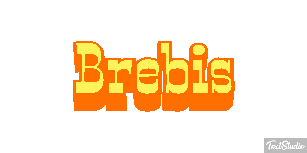 Brebis Efekt tekstowy