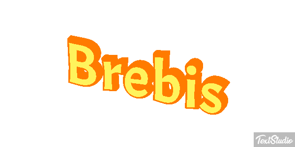 Brebis Efekt tekstowy