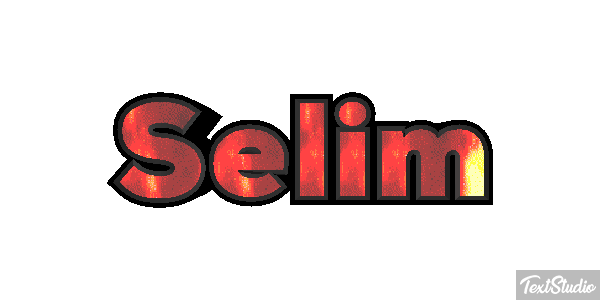 Selim Metin efekti