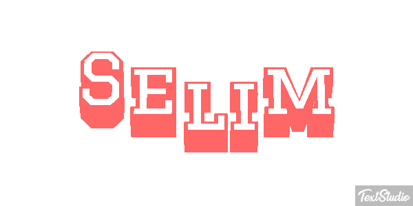 Selim Metin efekti