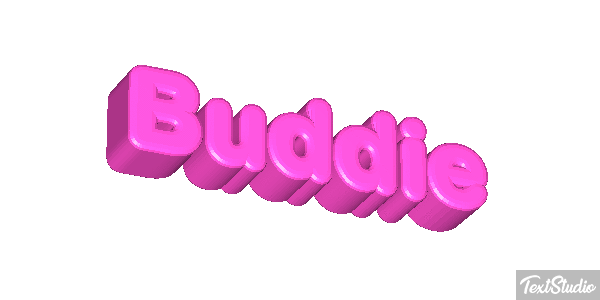 Buddie テキスト効果