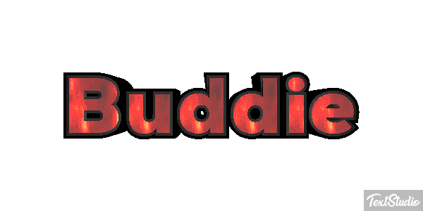 Buddie テキスト効果