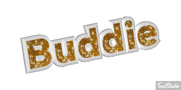 Buddie テキスト効果