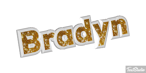 Bradyn Text effect