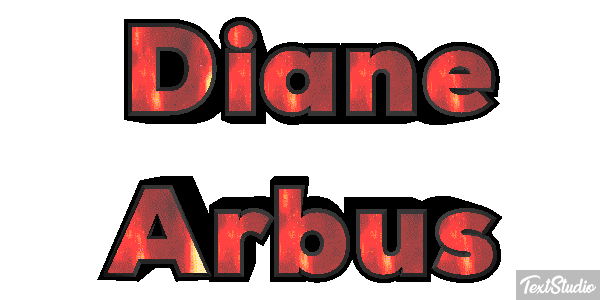 Diane Arbus Efeito do texto