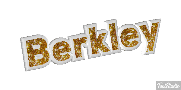 Berkley Text effect