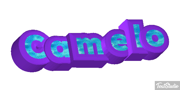 Camelo テキスト効果