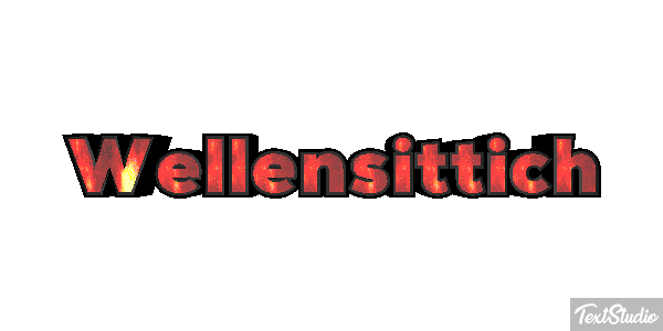 Wellensittich Metin efekti
