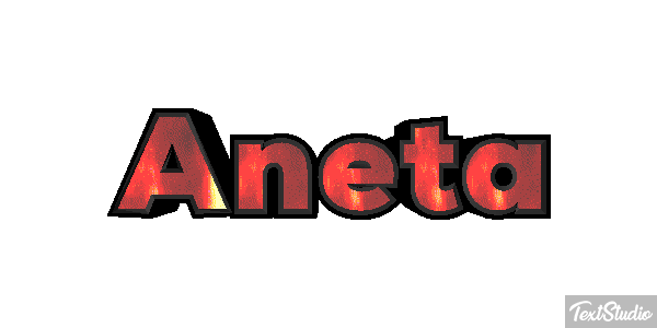 Aneta Efekt tekstowy