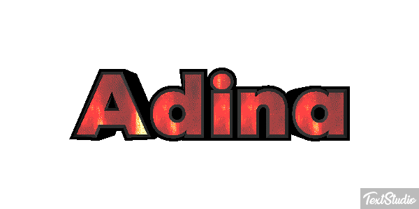 Adina Text effect
