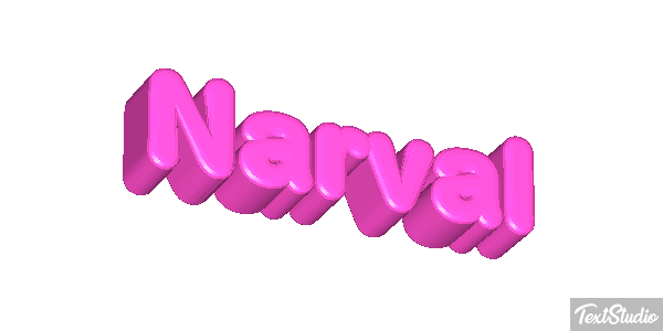 Narval テキスト効果
