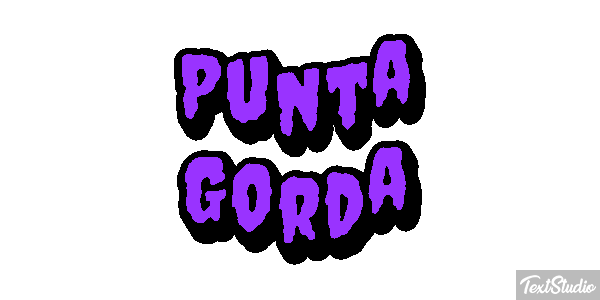 Punta Gorda Tekst effect