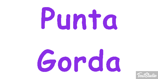 Punta Gorda Tekst effect