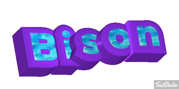Bison Text effect