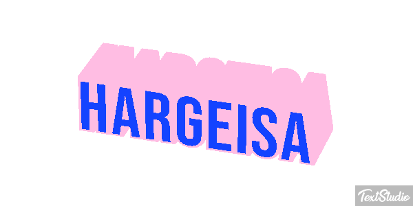Hargeisa Efekt tekstowy